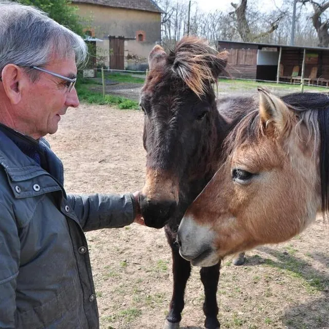 photo à la ferme de « la baronnière », monique et joël mahé sont prêts à vous accueillir pour une pause pique-nique. il suffit de les prévenir de votre passage.  ©  archive le maine libre