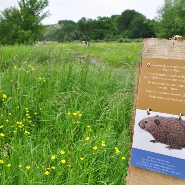 photo des animations pédagogiques le long du sentier du marais.  ©  archive le maine libre