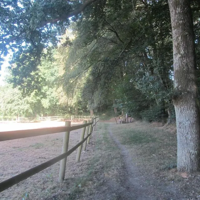 photo début du parcours vers l’étang.  ©  ouest-france