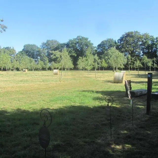 photo le verger doté de 185 poiriers à haute tige.  ©  ouest-france