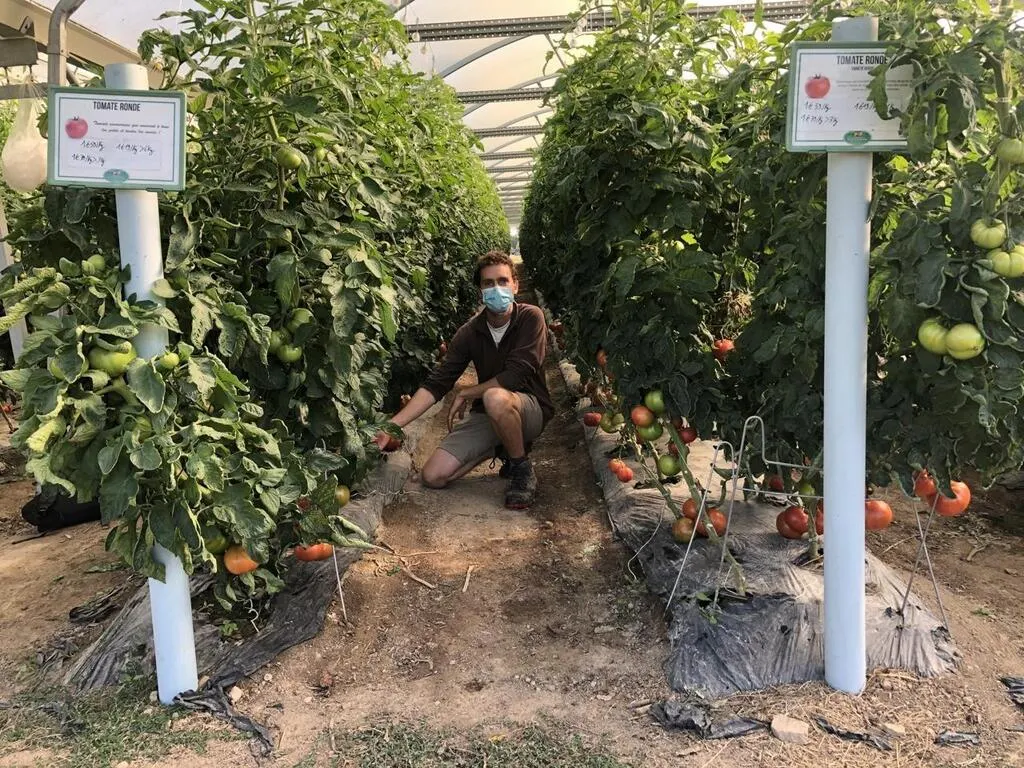 Vendée. Cueillir soimême son panier de
