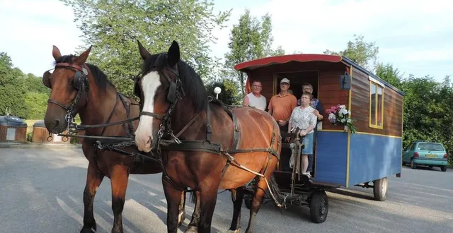 photo  plus de 700 chevaux sont attendus, ce week-end, pour l’équirando.  &copy;  ouest-france 
