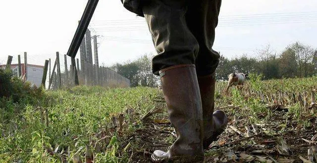 photo  les faits remontent au mois de février 2019.  &copy;  archives 
