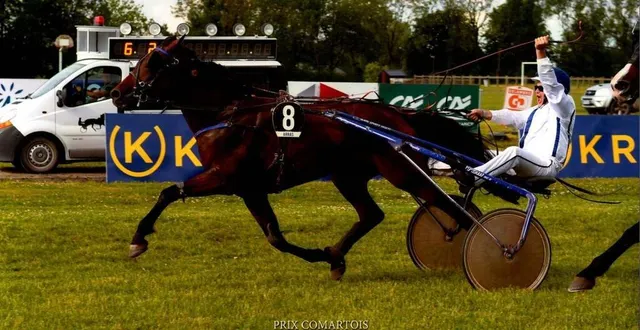photo  jérôme binet lors du prix comartois, qu’il a remporté le 20 juin 2021 à arras.  &copy;  jean-jacques blond 