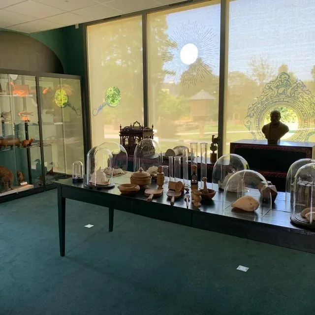 photo dans le cabinet de curiosités, les visiteurs sont plongés dans une sorte de chambre des merveilles.  ©  ouest-france