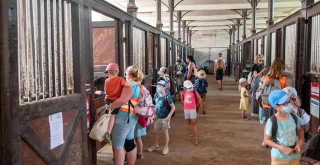 photo  cet été, la fréquentation du haras du pin a augmenté de 40 % par rapport à 2020.  &copy;  dr 