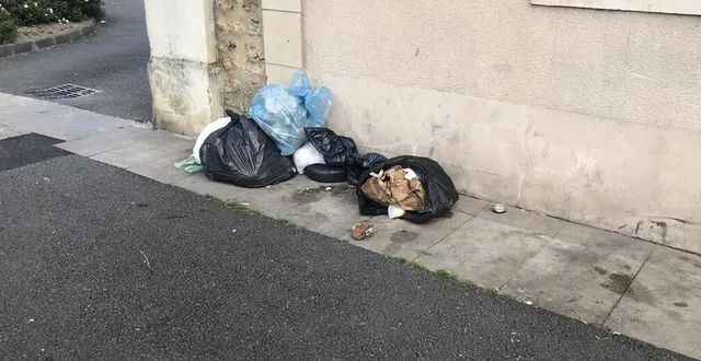 photo  les sacs-poubelles font de la résistance dans le pays fléchois.  &copy;  ouest-france 