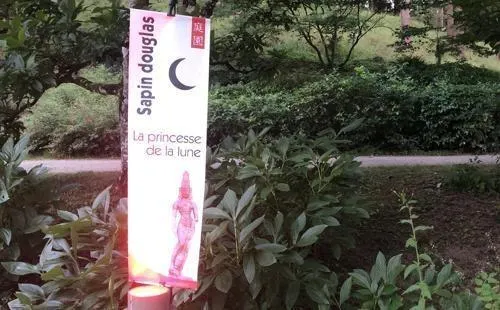 photo à chaque étape, comme ici la première pour la princesse de la lune, le conte est signalé par un kakemono signalé en rouge.  ©  ouest-france