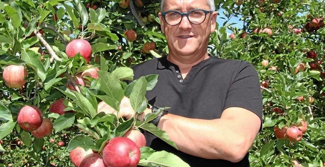 photo  à un mois et demi du début de la campagne de cueillette, pascal péan bat le rappel pour recruter une centaine de saisonniers.  &copy;  archives 