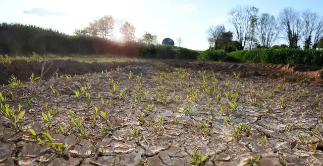 photo  sur le bassin en crise, les particuliers et agriculteurs sont soumis à des interdictions d’usage de l’eau.  &copy;  photo le courrier de l’ouest marie delage 