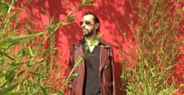 photo  jp nataf en concert, samedi.  &copy;  dr 