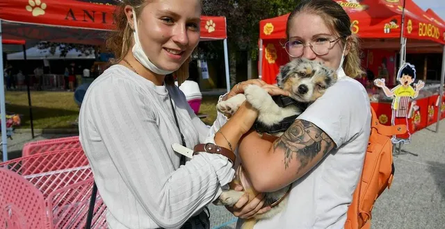 photo  le mans, le 4 septembre 2021. venues spécialement de chartres, clara et jeanne sont reparties avec summer, un berger australien.  &copy;  le maine libre – yvon loué 