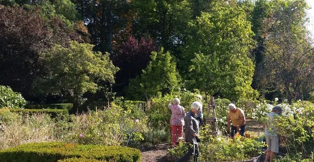 photo  les bénévoles de l’association entretiennent les jardins de l’abbaye de tuffé tous les jeudis.  &copy;  dr / association des amis de l’abbaye de tuffé 