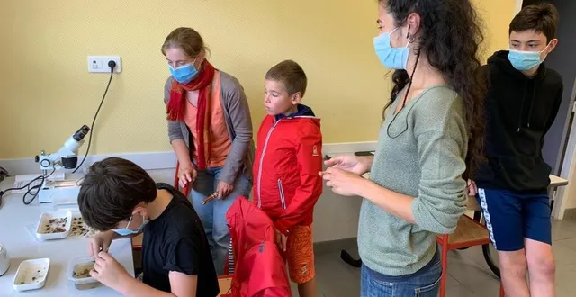 photo  robin est en pleine décortication de pelotes de rejection de rapaces. chaque ossement est précieusement récupéré pour ensuite identifier à quel micromammifère il appartient.  &copy;  ouest-france 