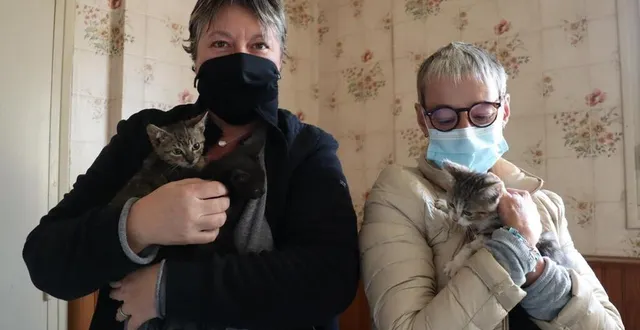 photo  l’association argentanaise les paniers du cœur a lancé une cagnotte en ligne pour collecter des dons.  &copy;  ouest-france 