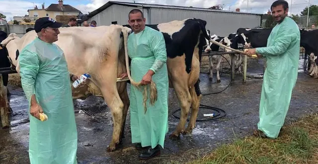 photo  nicolas bulot (à droite) et son père jean-pierre (à gauche) lavent longuement les vaches avant le concours.  &copy;  le maine libre 