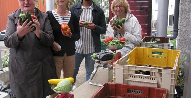 photo  venir chercher ces légumes… les recettes qui vont avec. un pur bonheur pour les amapiens !  &copy;  ouest-france 