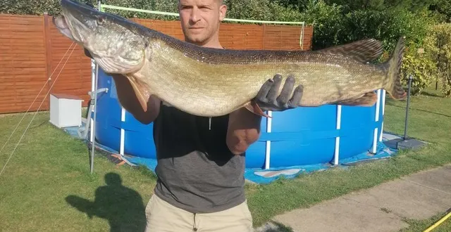 photo  maigné/vallon-sur-gée, mardi 24 août 2021. parti pour pêcher la truite, david a sorti du petit cours d’eau un brochet de plus de 12 kg.  &copy;  collection privée 