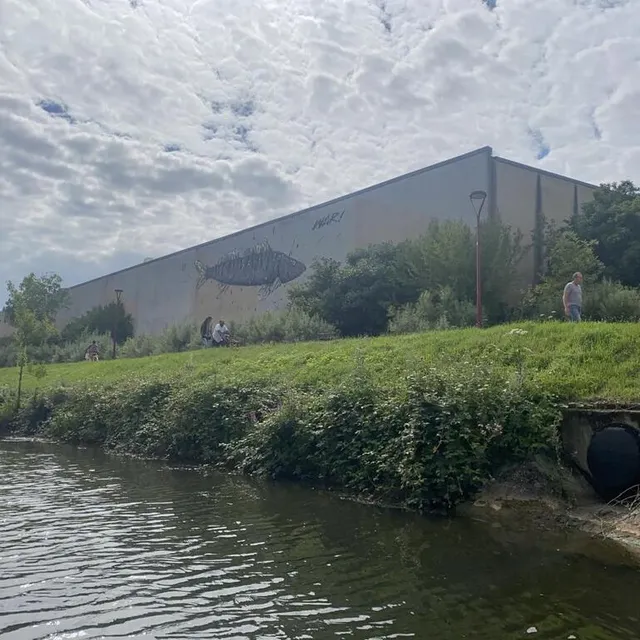 photo depuis le bateau sur la rivière, les visiteurs ont pu observer les graffitis qu’on peut apercevoir sur certains bâtiments.  ©  ouest-france