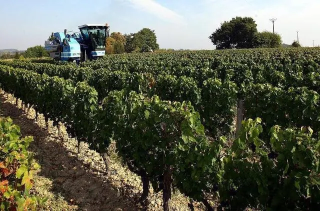 photo dans la future œnothèque, vignobles et vins de la vallée du loir seront mis à l’honneur.  ©  archive le maine libre