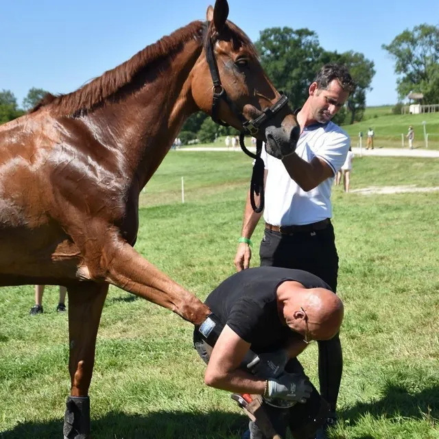 photo le maréchal-ferrant james etiemble dépanne un cavalier en remettant un fer à son cheval.  ©  ouest-france