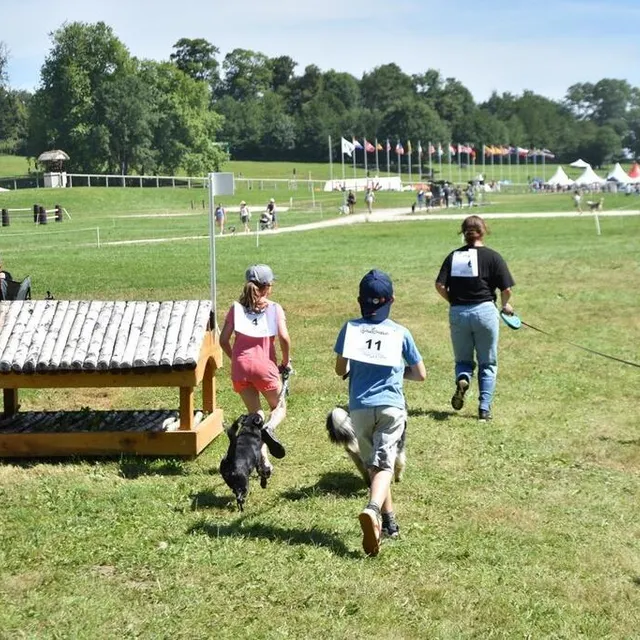 photo une dizaine de coureurs ont participé au canicross avec un chien.  ©  ouest-france