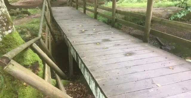 photo  à saint-nicolas-des-bois, près d’alençon (orne), la passerelle de l’amitié, en forêt d’écouves, souffre de l’usure du temps.  &copy;  dr 