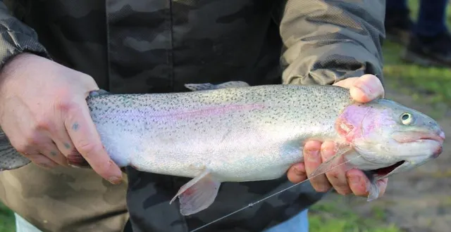 photo  rendez-vous au plan d’eau communal.  &copy;  saint-rémy-montaise 