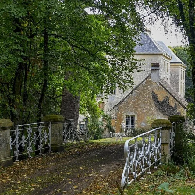 photo le château trône dans une forêt de buis.  ©  le maine libre - yvon loué