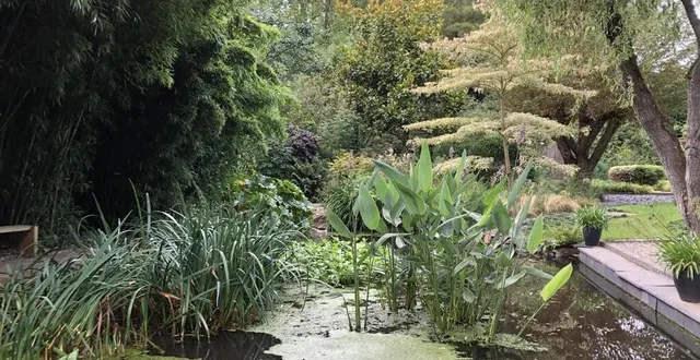 photo  le jardin intérieur à ciel ouvert est labellisé « remarquable ».  &copy;  ouest-france 