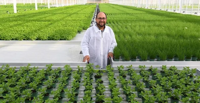 photo  les ponts-de-cé, mardi 21 septembre 2021. angel rodriguez, directeur général de bioplants, au cœur de ses 15 000 m² de serres automatisées.  &copy;  co – josselin clair 