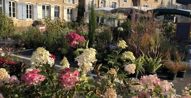 photo  entre cours et jardins, ça commence aujourd’hui, au mans (sarthe).  &copy;  ouest-france 