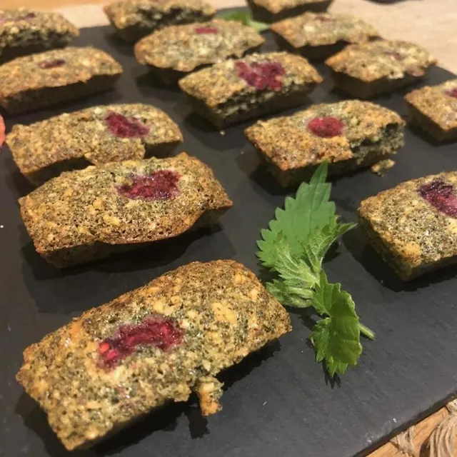 photo des financiers aux orties.  ©  ouest-france