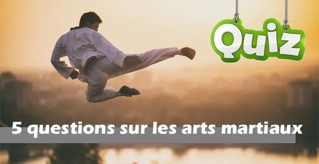 photo quiz. 5 questions sur les arts martiaux