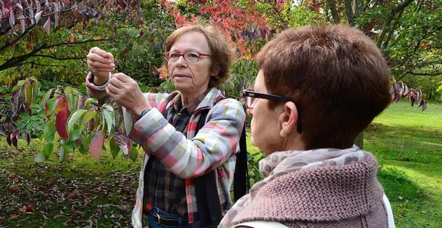 photo  nadine dutier, future guide de la visite, lors d’une découverte de l’arboretum de saint-gervais-de-vic.  &copy;  archives ouest-france 