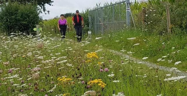photo  « ces chemins sont très agréables. nous les connaissons par cœur », reconnaissent bernard et jacqueline, qui arpentent un jour sur deux les boucles de chemins neuvillois au pas vif des marcheurs nordiques.  &copy;  ouest-france 