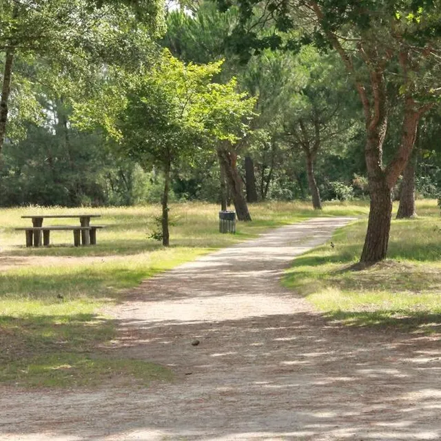 photo les habitants du quartier oasis-maroc peuvent profiter de la verdure du parc robert-manceau au mans (sarthe), pour se dégourdir les jambes.  ©  ouest-france