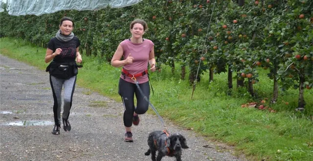 photo  on est venu courir en famille ou entre amis dans les vergers timmerman, à vion, pour la bonne cause.  &copy;  le maine libre 