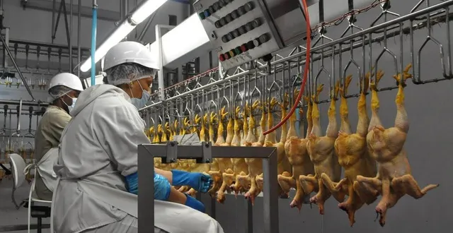 photo  ldc a annoncé ce mercredi son implantation au pays de galles  &copy;  archives le maine libre 