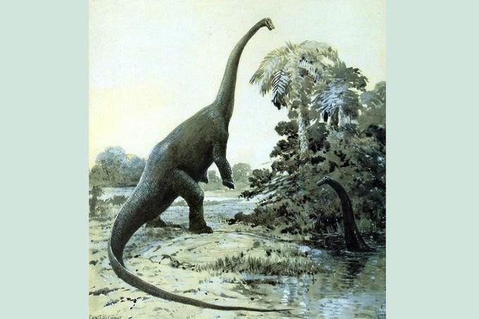 Mokele-Mbembe : Sur Les Traces Du Dernier Dinosaure by Le Comptoir Général  — KissKissBankBank