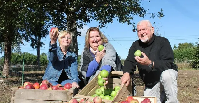 photo  florence gouin, karine hebert et jean-pierre alcan font partie des bénévoles qui organisent la fête des pommes au bailleul, du 8 au 10 octobre 2021.  &copy;  ouest-france 