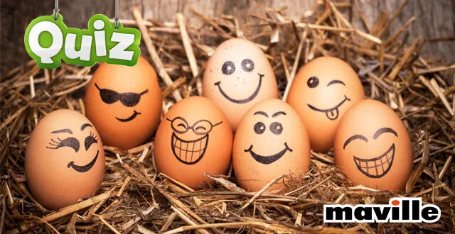 photo quiz. qui de l’œuf ou de la poule ?  &copy; pepifoto sur istock
