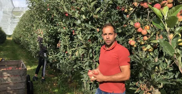 photo  pierre leroy (et son frère simon) ont repris l’exploitation il y a dix ans. les leroy sont à la tête des vergers depuis huit générations.  &copy;  ouest-france 