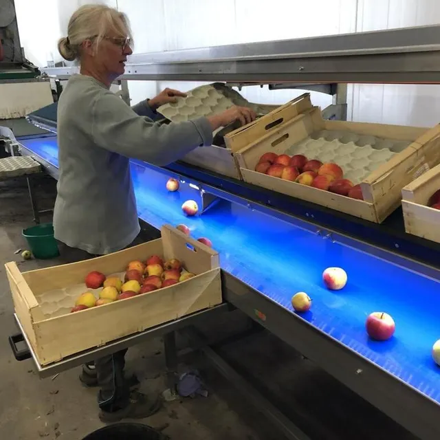 photo avant d’être mises en circulation, les pommes sont rincées, brossées, lustrées et vérifier une dernière fois.  ©  ouest-france
