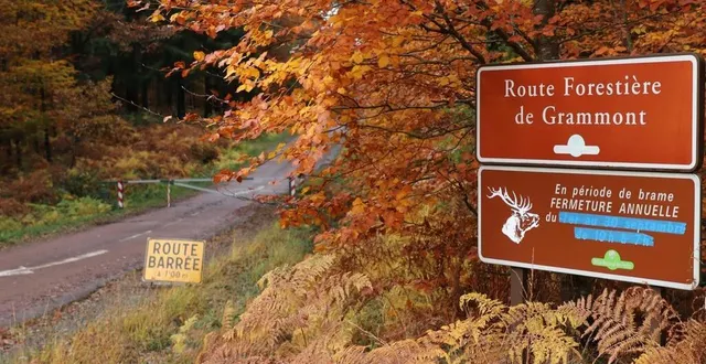 photo  la route forestière de grammont sera interdite à la circulation à partir du 14 octobre.  &copy;  ouest-france 