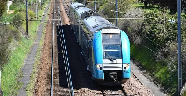 photo  ce mardi 12 octobre 2021, un train est tombé en panne à voivres-lès-le mans.  &copy;  archives presse océan - nathalie bourreau 
