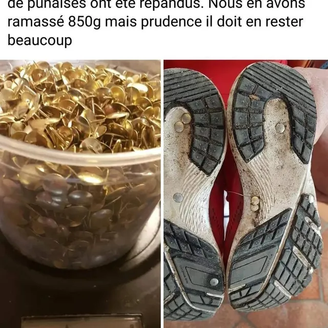 photo des promeneurs avaient déjà ramassé près d’un kilo de punaise sur la voie verte en février 2021.  ©  dr