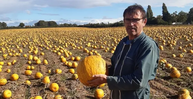 photo  romain chevreuil dans son champ de courges, à solesmes.  &copy;  groupe agro logic 