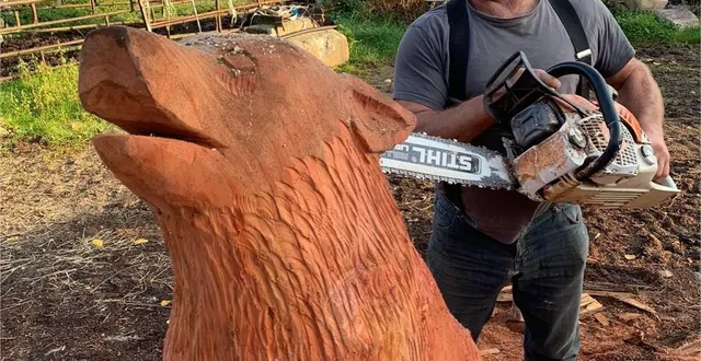photo  l’artiste à la tronçonneuse travaille actuellement sur la réalisation d’un loup.  &copy;  le maine libre 
