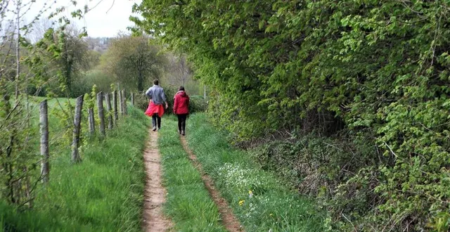 photo  un chemin rural (photo d’illustration) était au centre d’un litige entre perche-en-nocé et une société de débardage forestier.  &copy;  archives of 